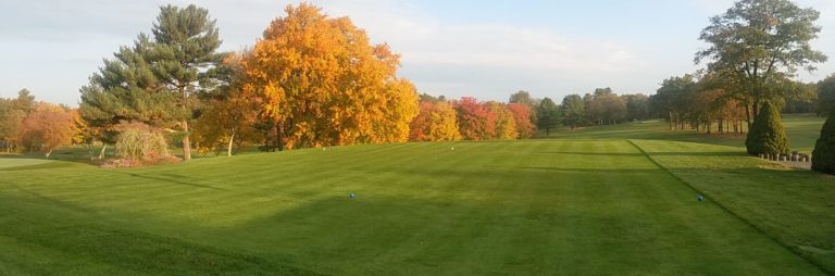 20161019 081231 768x254