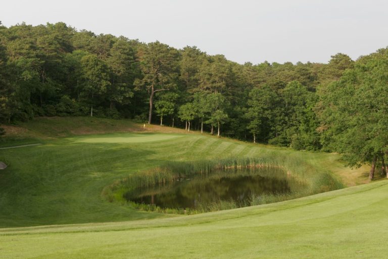 Captains Port 8 768x512