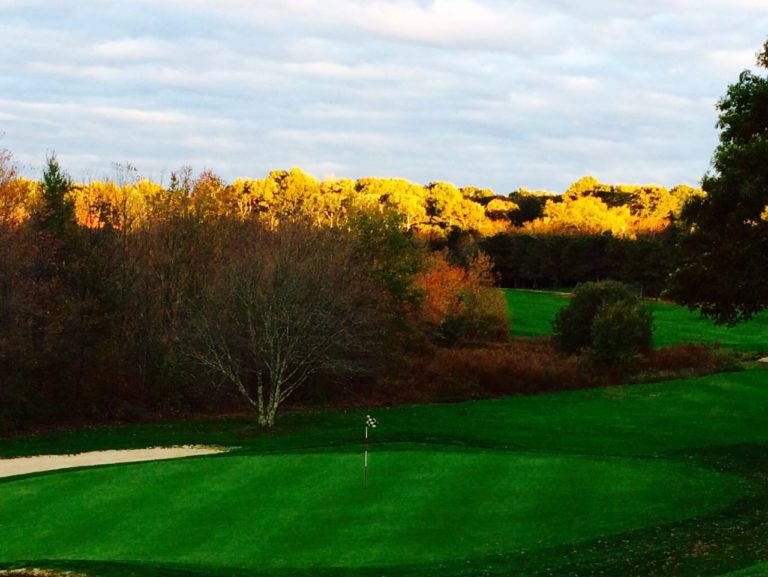 QVCC IMG 0211 768x577